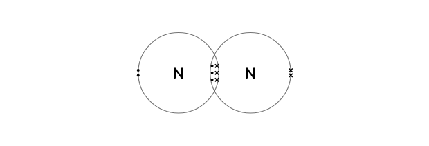 Nitrogen (N₂)