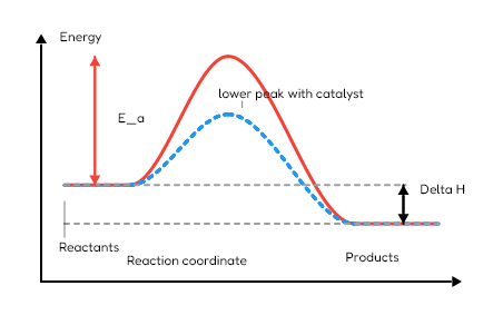 Catalyst lowers activation energy